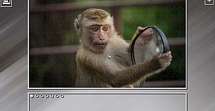 Super Jigsaw Puzzle: Generations - Random Animals Puzzles