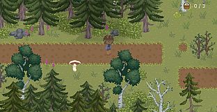 The Mushroom Journal