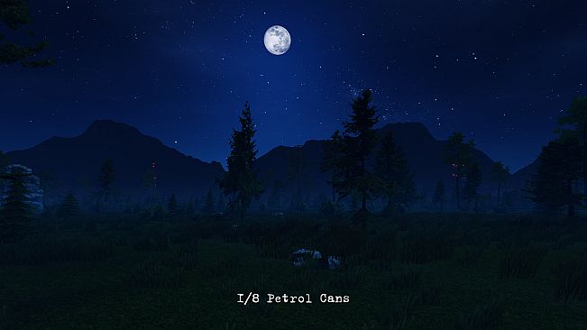 Haunted Forest