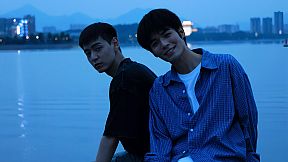 Tree's Love Crossing Above