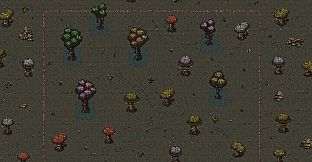 THE THRESHOLD DWELLER