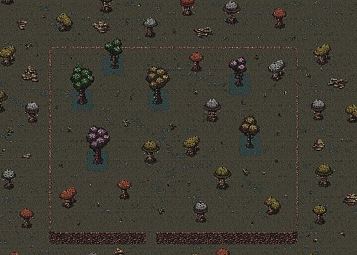 THE THRESHOLD DWELLER