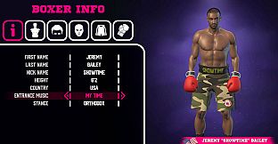 Pro Sports Boxing