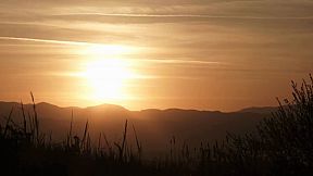 Middle School Zombie 2