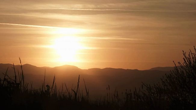 Middle School Zombie 2