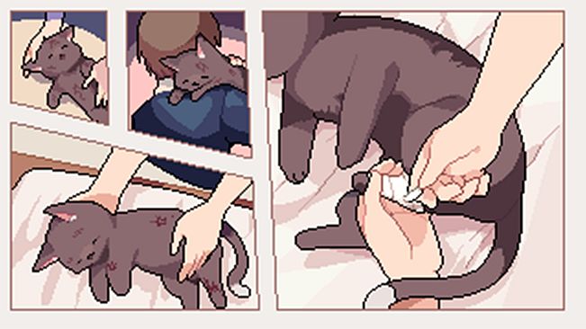 I got a millenary cat