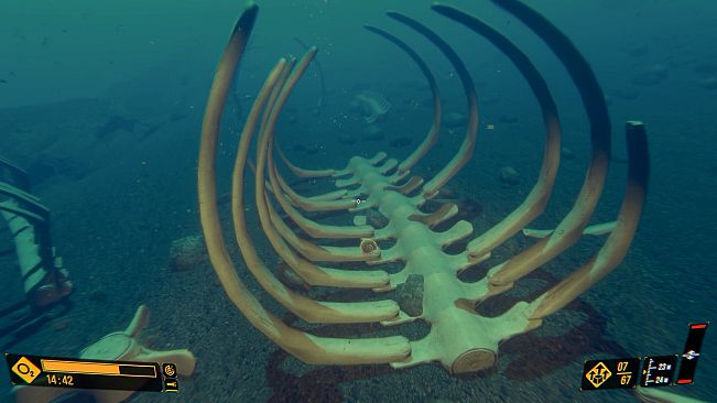 Deep Diving Adventures