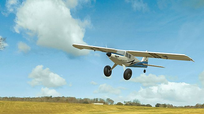 RealFlight Evolution - 2023 Year Content Pass