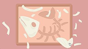 Dove Days : Time Flies