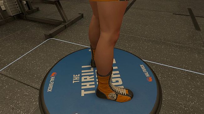 The Thrill Of The Fight 2 - Fitz Gym Original Shoes