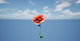 a Flower for you