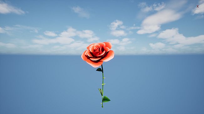 a Flower for you
