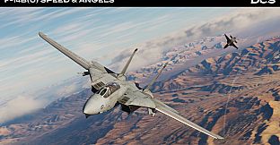 DCS: F-14B(U) Speed & Angels Campaign by Reflected Simulations