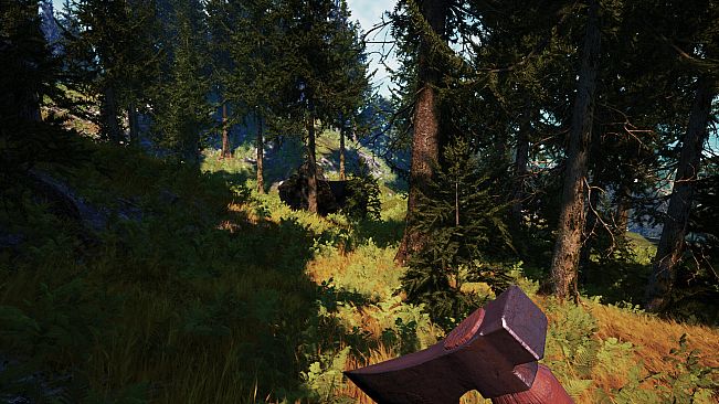 Wildwood: Hearth & Horizon