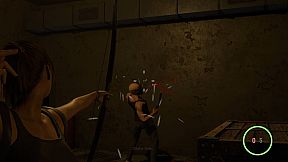 Selene's Unbearable Night