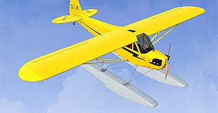 RealFlight Evolution - 2025 Year Content Pass