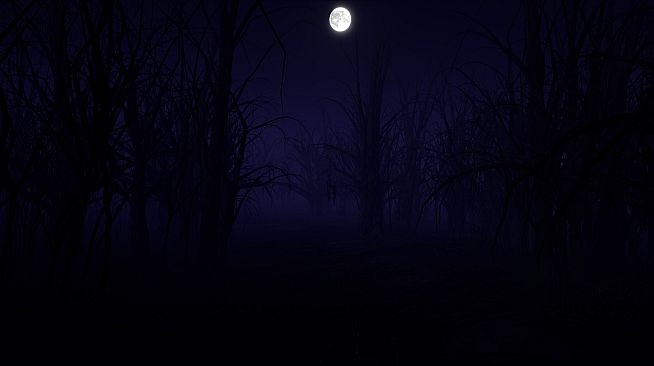 DREAMLAND