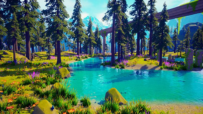 Dragomir: The Dreaming