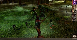 Neverwinter Nights: Wyvern Crown of Cormyr