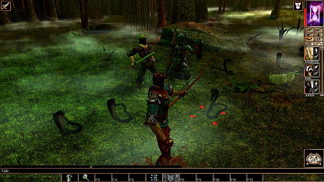 Neverwinter Nights: Wyvern Crown of Cormyr