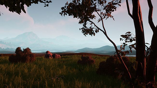 Wildwood: Hearth & Horizon