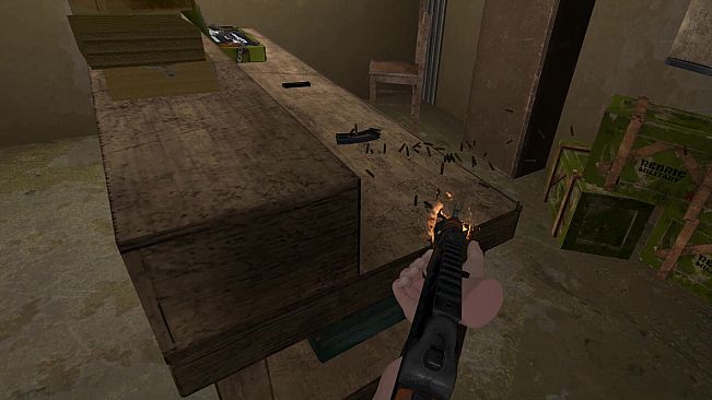 Last Chance: The Survivor VR