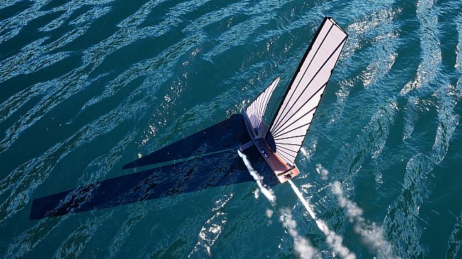 Purple Fins