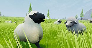 Therapy Sheep VR