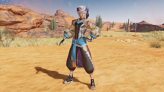 PSO2:NGS - Fiery Dunes Retem/Type 1 Pack