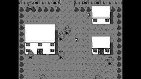 Monster Capture King