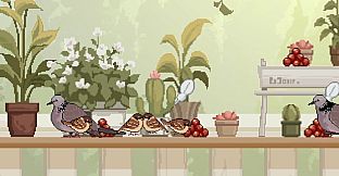 Birdwatching Notebook