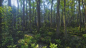 Mindfulness Simulator - ASMR Meditation Game