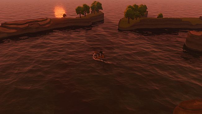 Paddle Cats