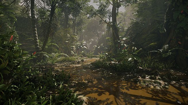 Tropica: Survival 1095