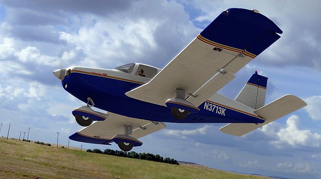 RealFlight Evolution - E-flite Cherokee 1.3m