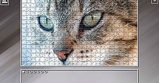 Super Jigsaw Puzzle: Generations - Cats 3