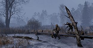 DayZ Frostline