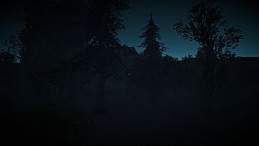 One Night At The Shack