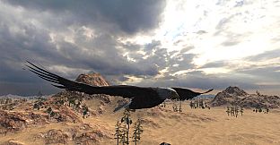 Eagle Hunting Journey