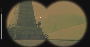 Birds Watching