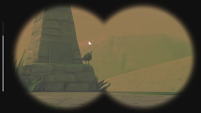 Birds Watching