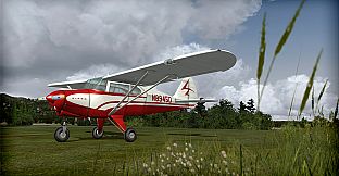 FSX: Steam Edition - Piper Pacer 180 Add-On