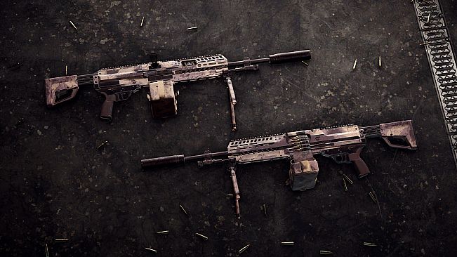 Insurgency: Sandstorm - Canyon Weapon Skin Set