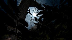 Caution Ahead: Part 1