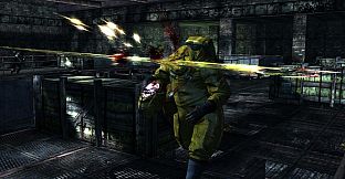 Dark Sector