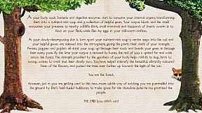 The Preposterous Awesomeness of Everything