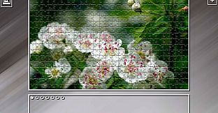 Super Jigsaw Puzzle: Generations - Flowers 2