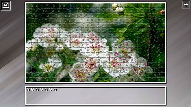 Super Jigsaw Puzzle: Generations - Flowers 2