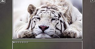Super Jigsaw Puzzle: Generations - Big Cats Puzzles