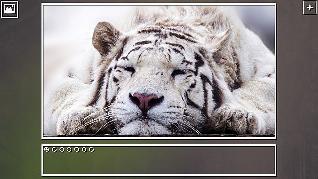 Super Jigsaw Puzzle: Generations - Big Cats Puzzles